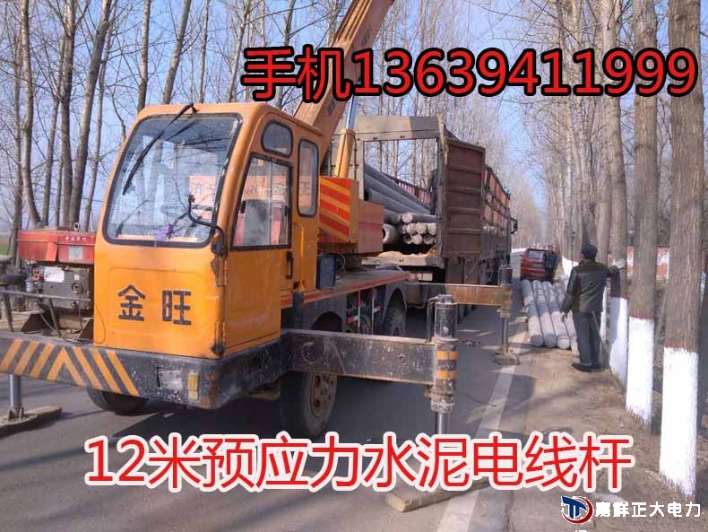 12米.jpg