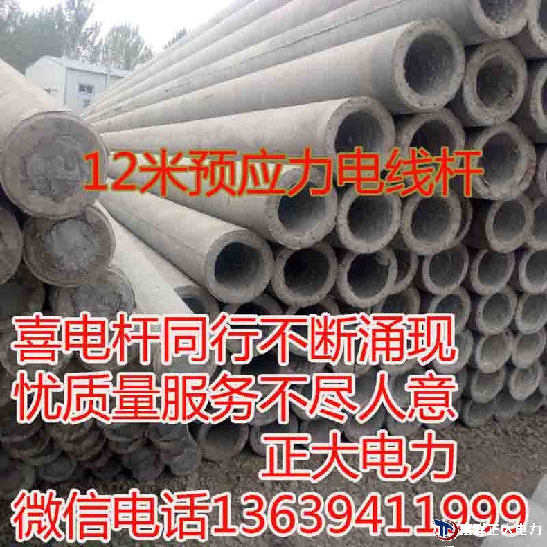 12米1.jpg